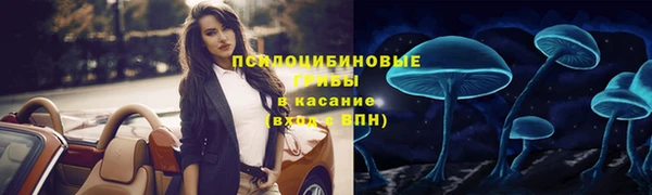 mix Арсеньев