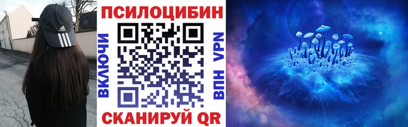 Галлюциногенные грибы Psilocybe  Купить где  Уфа 
